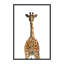 Art girafe bout à bout-49839914-49839921