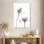 Harnek First Tulips-108371531