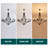 12 - Light Candle Style Dimmable Wagon Wheel Chandelier