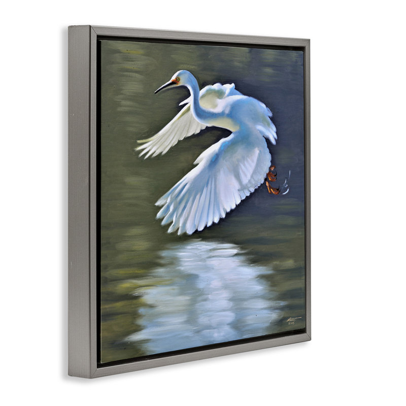 «Egret Flying Lake Surface» par D. Rust, Cadre flottant gris lustré, H 18 po x l 18 po x P 1,7 po