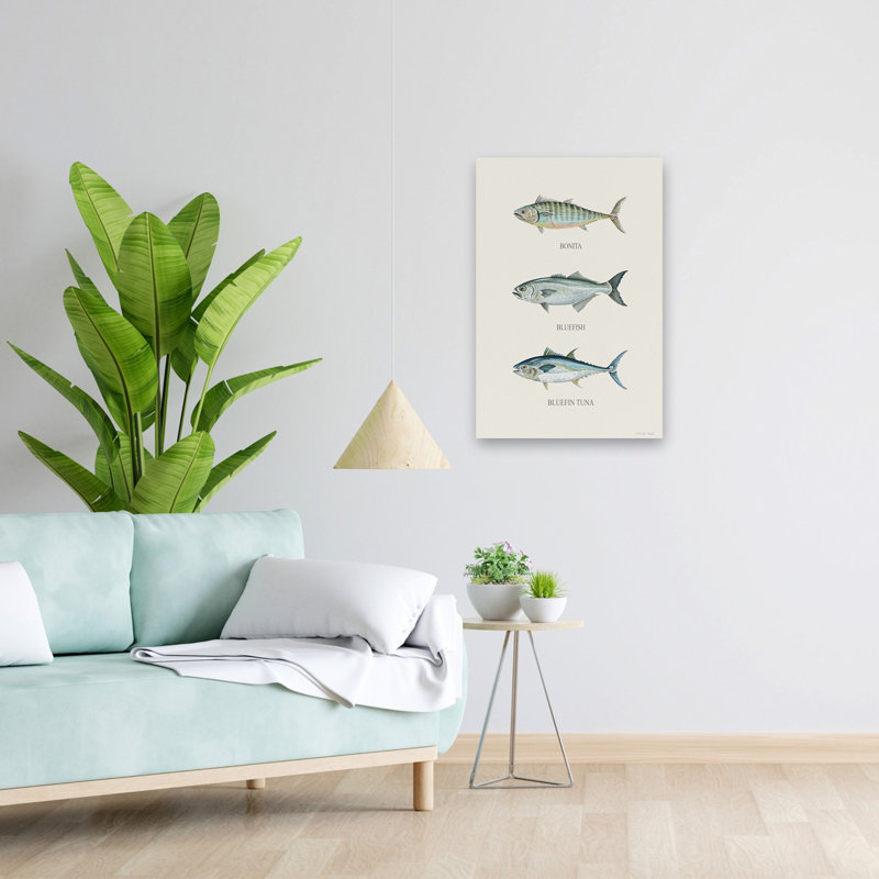 Fish Chart II - Contemporary Fish Illustration Bonita Bluefish Art, 24" H x 16" W