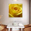 Rose jaune Harnek-109388623