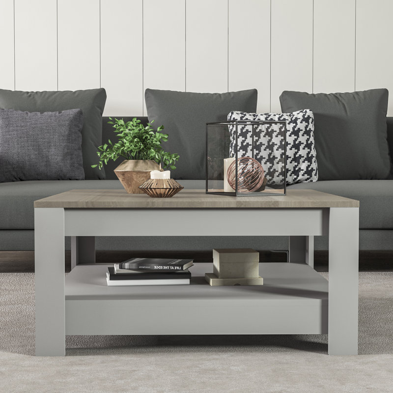 Albertjames Coffee Table with Storage, Grey