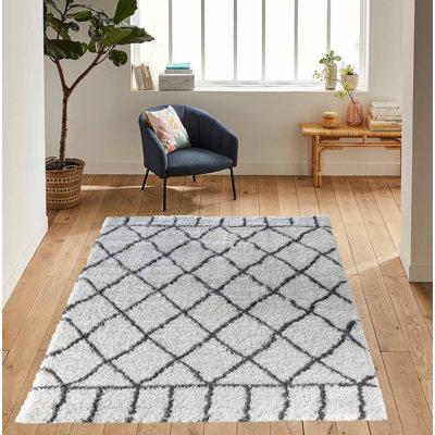 Toledo Geometric Shag Area Rug