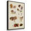 " Mushroom Species I " 3 - Pieces-91891192-91891191