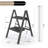 2-Step Steel Folding Step Stool Ladder
