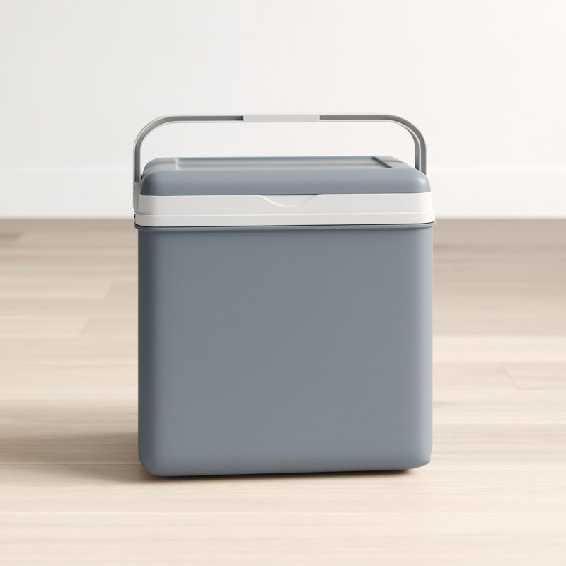 Wayfair Basics™ 24L Handheld Cooler, Grey