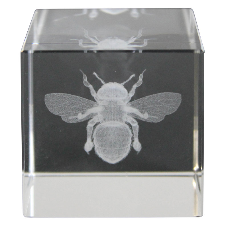 Hologramme en verre d'abeille