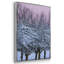 Winter's Beauty, 3 pièces-463413598-463413569