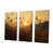 Wrapped Canvas