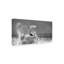 Art sur toile «Bussiba Surfer In Ocean Spray»-109226556