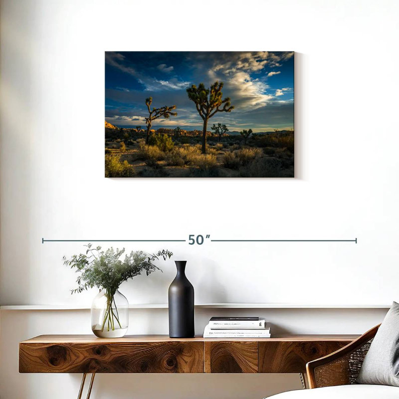Paysage du parc national Ravi Joshua Tree, H 20 po x l 30 po