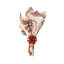 Brilliant Napkin Ring-33813718