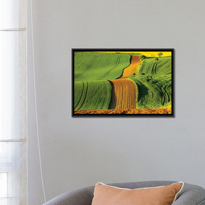 " Czech Republic, Moravia, Rapeseed Field II " by Mikolaj Gospodarek