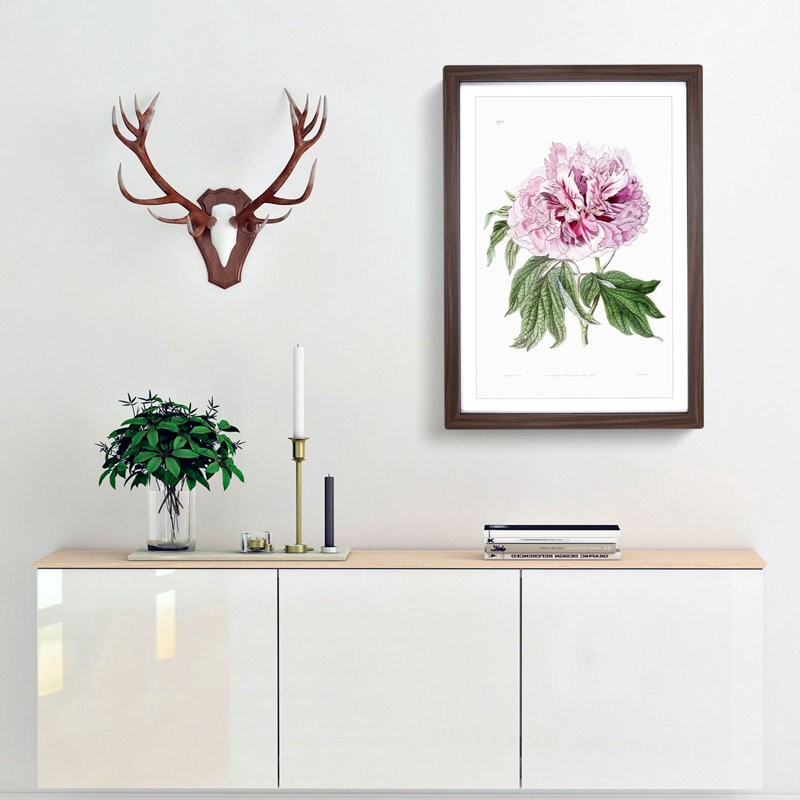 Pink Tree Peony Flower - Picture Frame Painting Print, 65cm H x 48cm W x 2cm D, Walnut Framed
