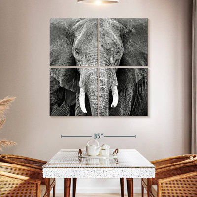 Brampt Elephant Wrinkles