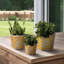 Ensemble de pots à fleurs en céramique en grès décoratif avec détails complexes faits à la main de Bethony-1578958903