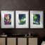 Affiches d'exposition Night Garden I-1412199298-1412199420