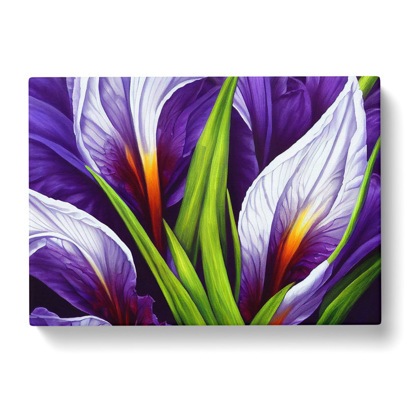 Modern Iris Flowers Vol.7 - Wrapped Canvas, 35cm H x 50cm W x 3cm D