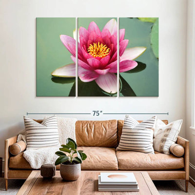 Harnek lotus japonais