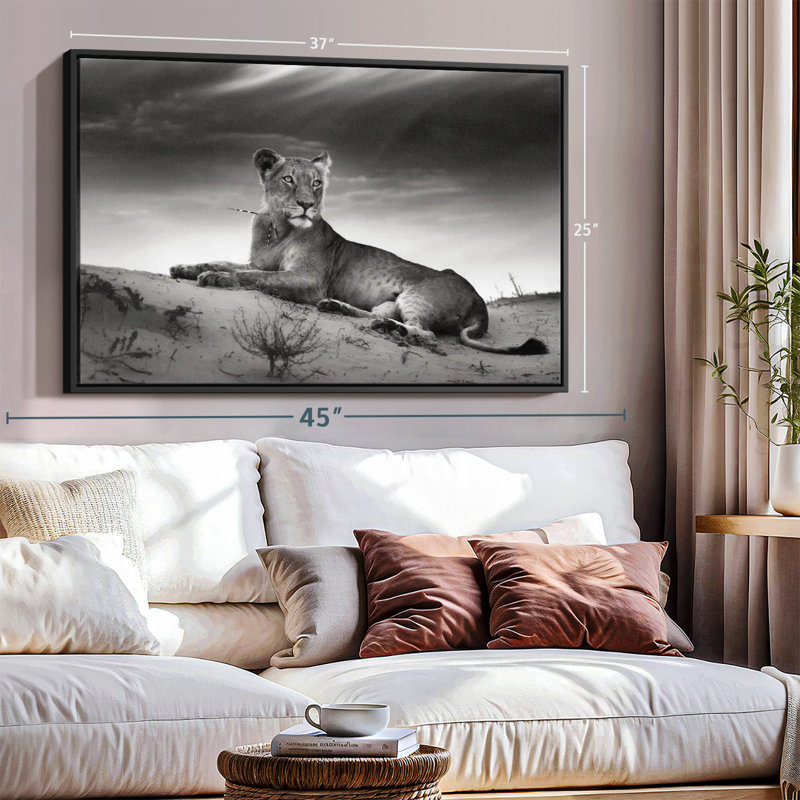 Animal «Lioness Canvas Print», H 25 po x l 37 po