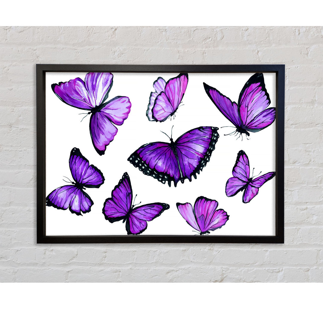 Purple Butterfly Frenzy - Einzelner Bilderrahmen Kunstdrucke auf Leinwand