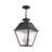Fraida Bulb Outdoor Hanging Lantern-22670234