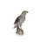 Northern Goshawk Standing on Rock Statue