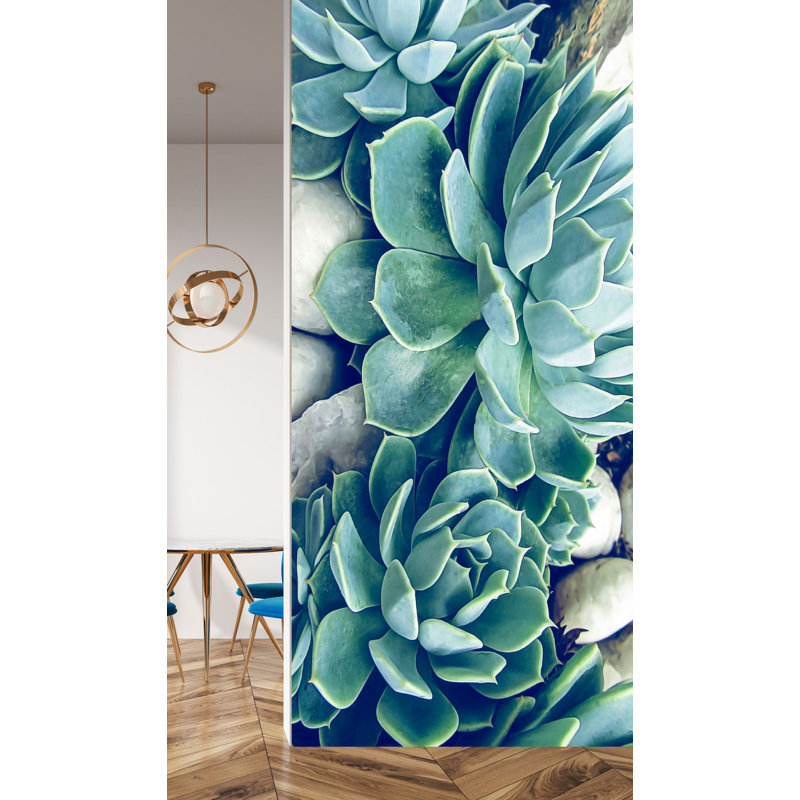 Panneau mural Haaris Succulents L 8 pi x l 45 po