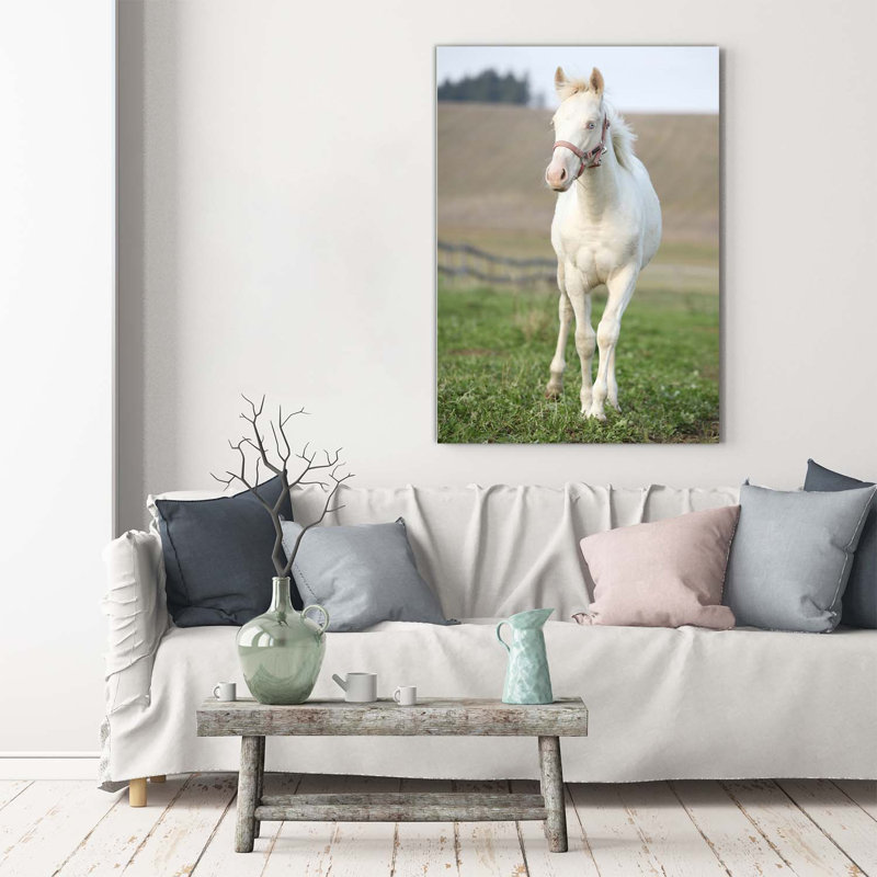 Albino Horse - Wrapped Canvas Print
