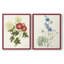 «Flowers of the Seasons I», reproduction encadrée de qualité supérieure - prête à être accrochée - aucun clou requis - aucun clou requis-1810837520-1810837517