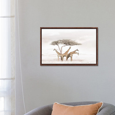 White Giraffes by Klaus Tiedge - Print on Canvas