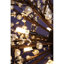 Lustre moderne pissenlit à DEL Baraka-2080150450-2080150465-2034518290
