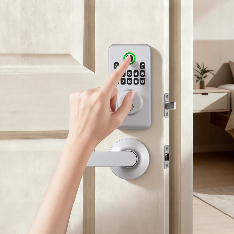 Ensemble de serrure de porte à empreinte digitale, verrou biométrique électronique sans clé avec poignée, design ergonomique novateur, verrouillage automatique, code à usage unique, mot de passe anti-espionnage, argent, conçu pour la maison
