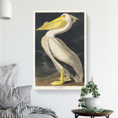 American White Pelican - Wrapped Canvas Painting
