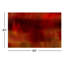 Amber Glaze Print by James McAllen-26677945-26677952