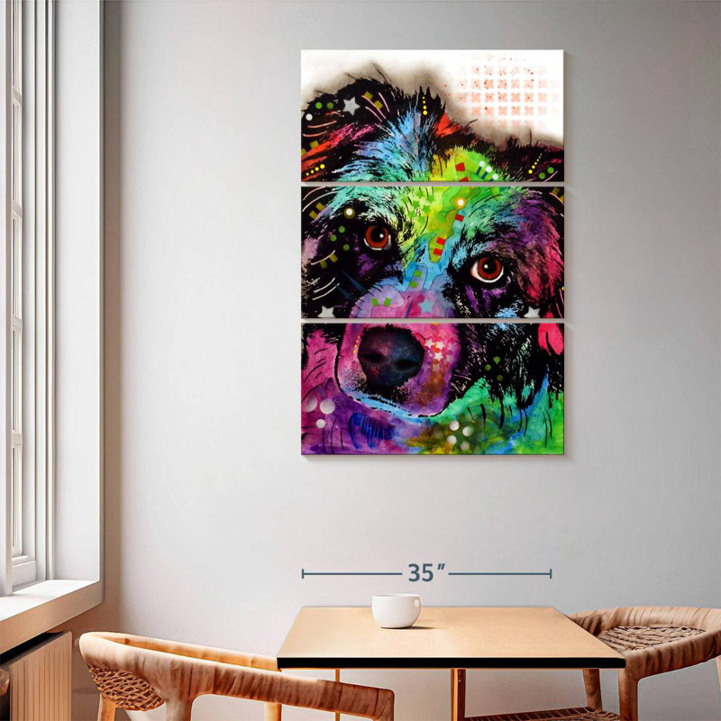 Brampt Aussie, 65" H x 42" W