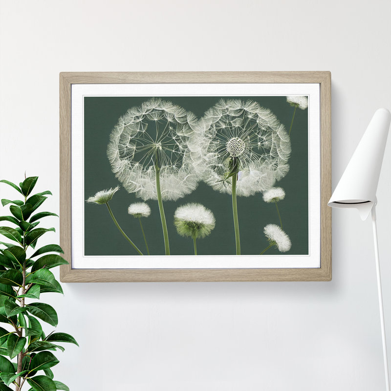 Blooming Dandelion Flowers - Single Picture Frame Print, 34cm H x 46cm W x 2cm D, Oak