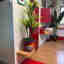 Photos des clients 1 de 1