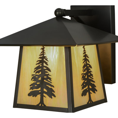 Rustic Lodge Solid Brass Wall Light