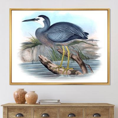Oiseaux australiens rétro II - impression sur toile