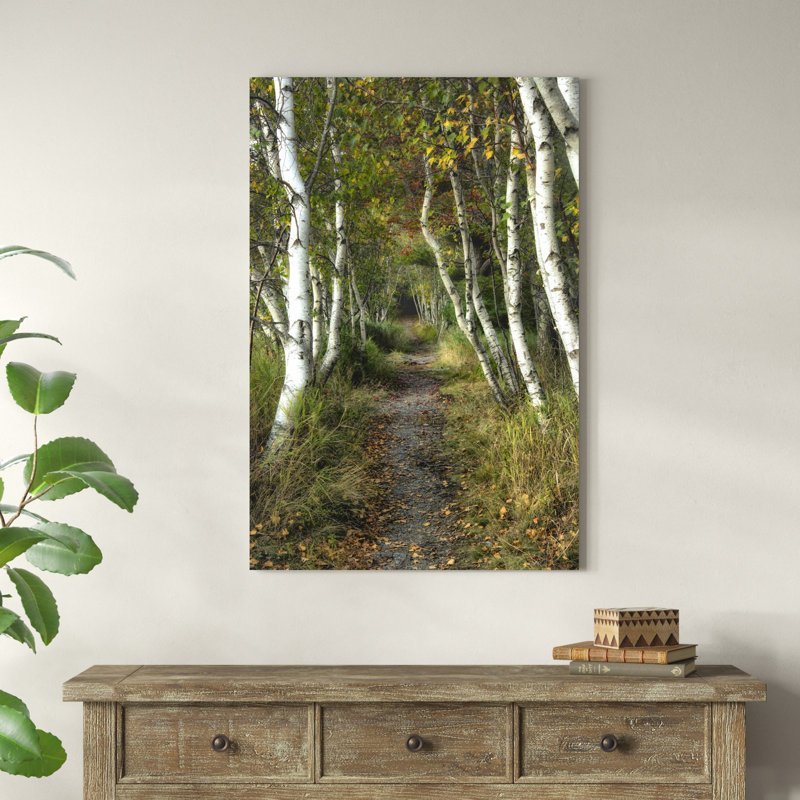 Birch Path II, H 48 po x l 32 po x P 1,25 po