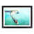 Black Framed is out of stock