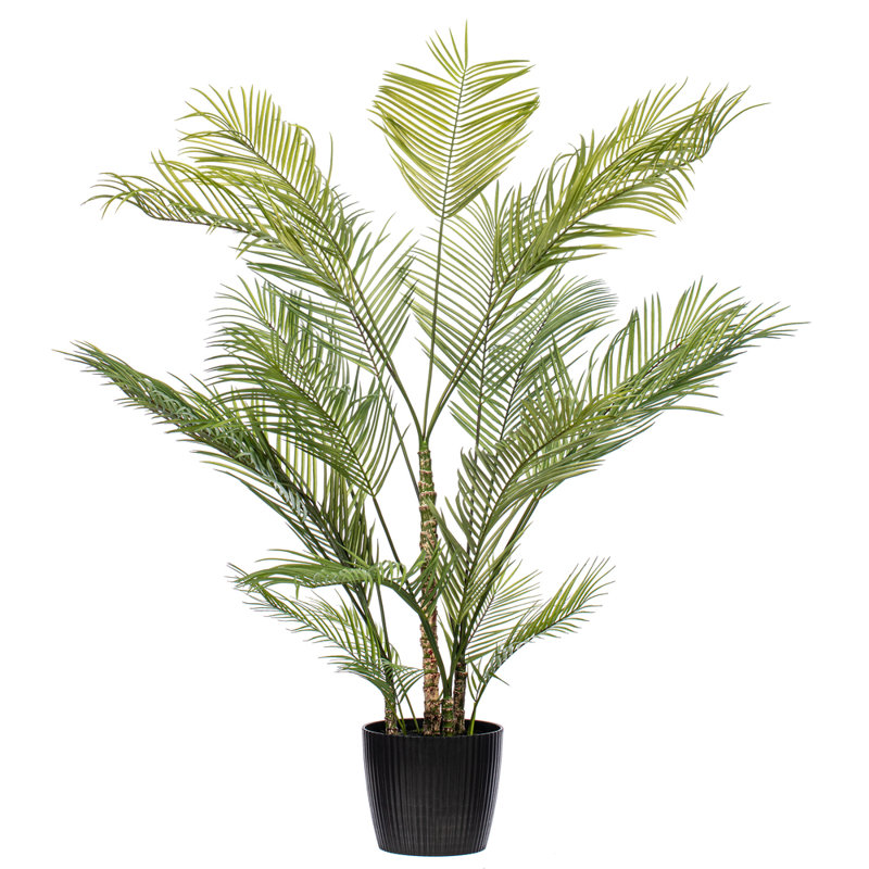 70,5 plante