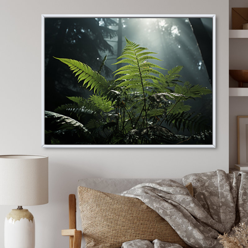 " Ferns Close Up Photo VII ", 16" H x 32" W, Cadre flottant blanc