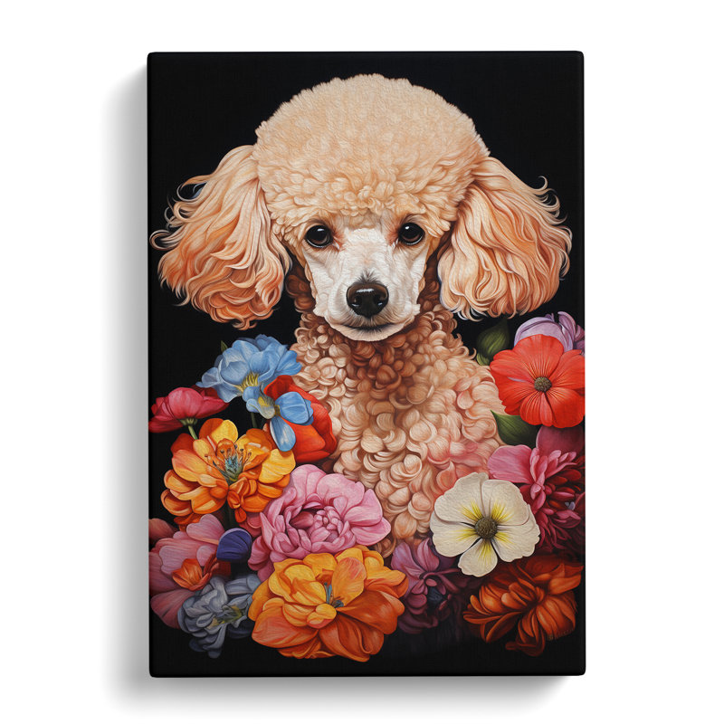 Poodle Informel - Wrapped Canvas