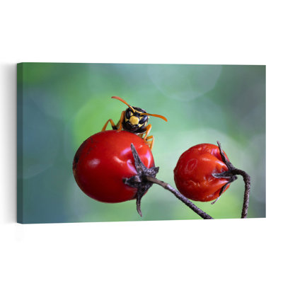 Curious Wasp On Berry Vibrant Nature Plant Wall Art Print by Massimo Chiodini - Print