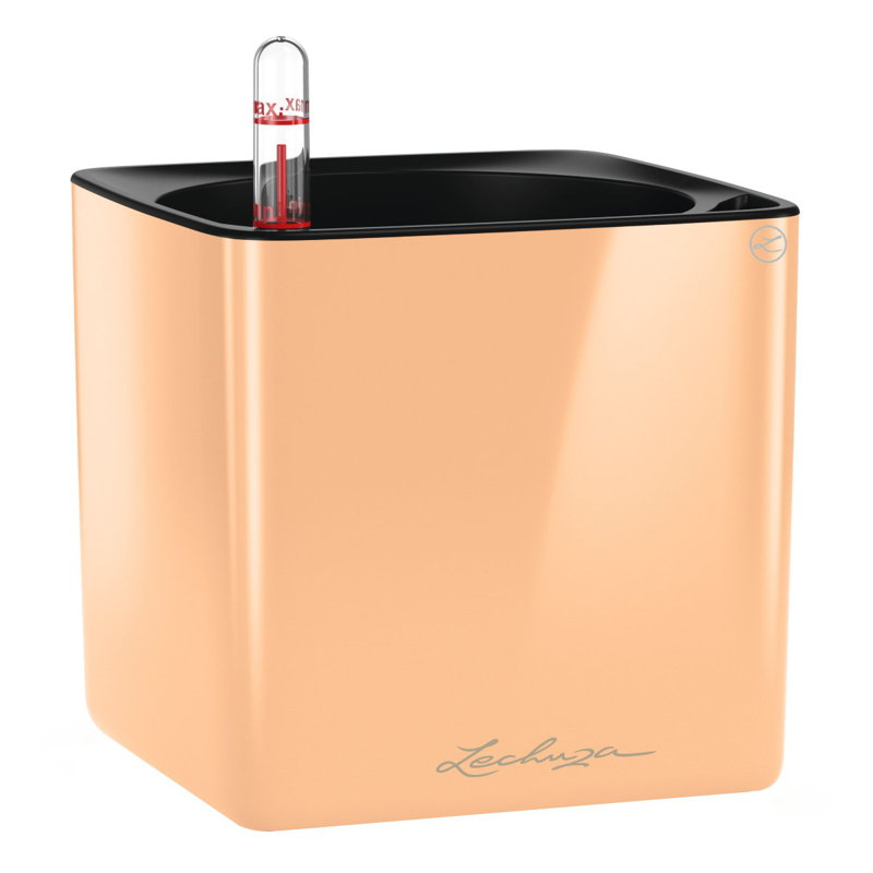 Self-Watering Planter Box, Apricot