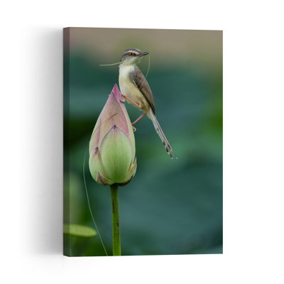Nesting Bird On Lotus Bud Delicate Peaceful Serene Bird Lotus Nature Tropical Wall Art Print 1 Piece Wrapped Canvas Wall Art