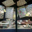 Bloom LED Pendant-63930369-124968834